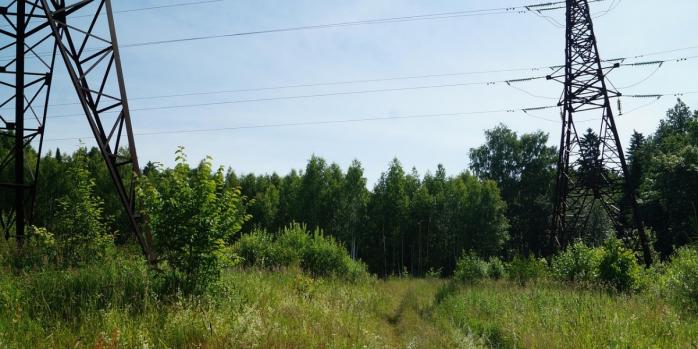 Тіло 11-річного хлопчика виявили в Івано-Франківській області, фото: