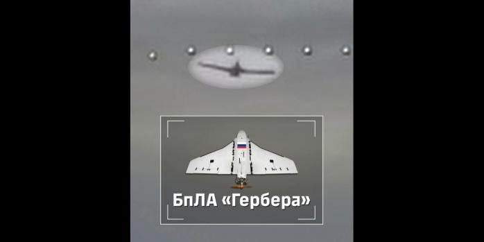 Знищення російських безпілотників, скріншот відео