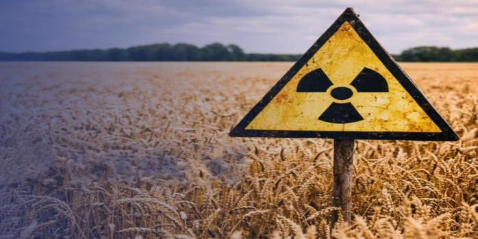 У Чорнобильській зоні вирощують зерно, фото: Офіс генпрокурора