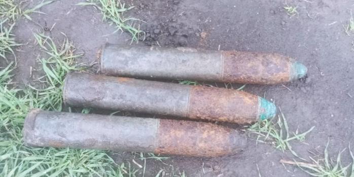 Знешкодження виявлених на Прикарпатті вибухонебезпечних предметів, фото: ДСНС