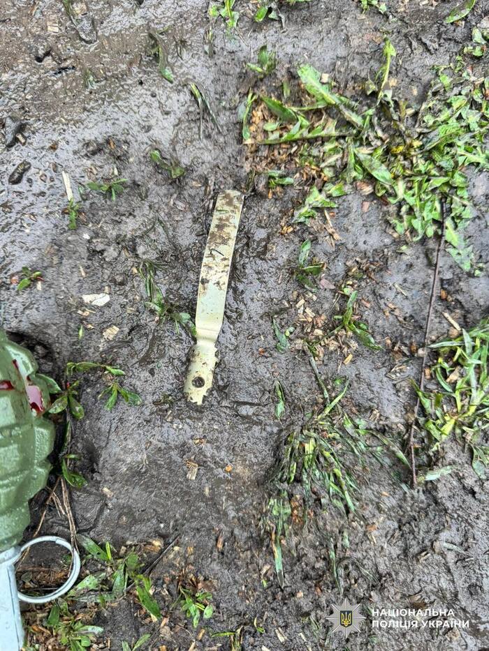 Наслідки вибуху гранати на Дніпропетровщині, фото: ДСНС