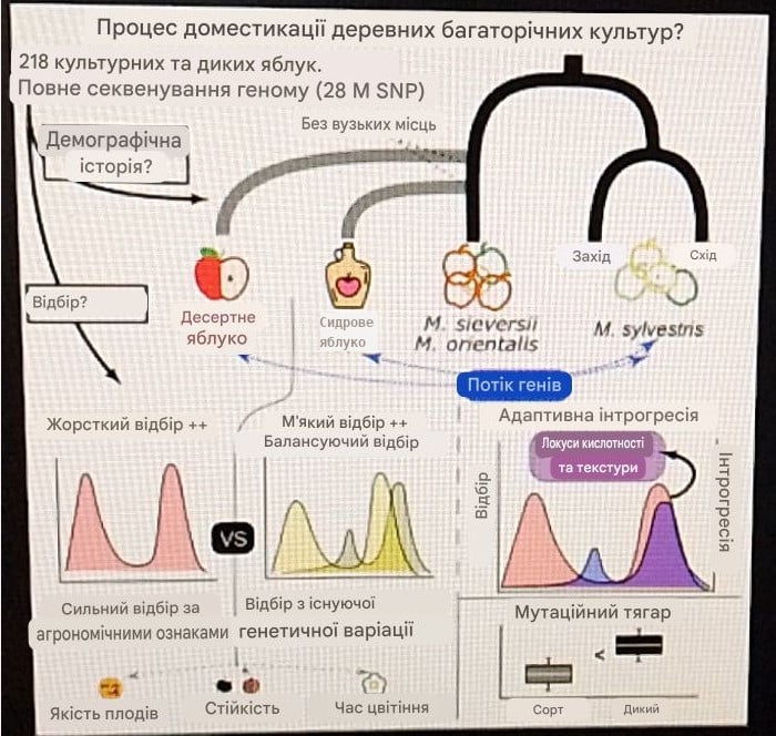 Інфографіка: Current Biology