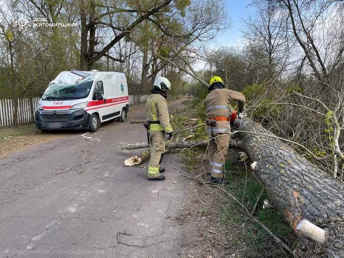 Наслідки негоди в Україні, фото: ДСНС