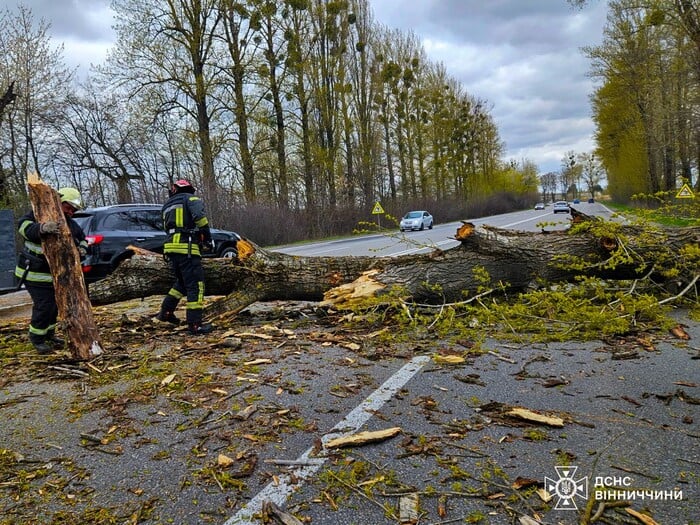 Наслідки негоди в Україні, фото: ДСНС