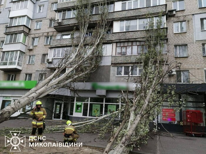 Наслідки негоди в Україні, фото: ДСНС