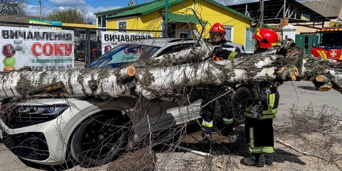 Наслідки негоди в Україні, фото: ДСНС