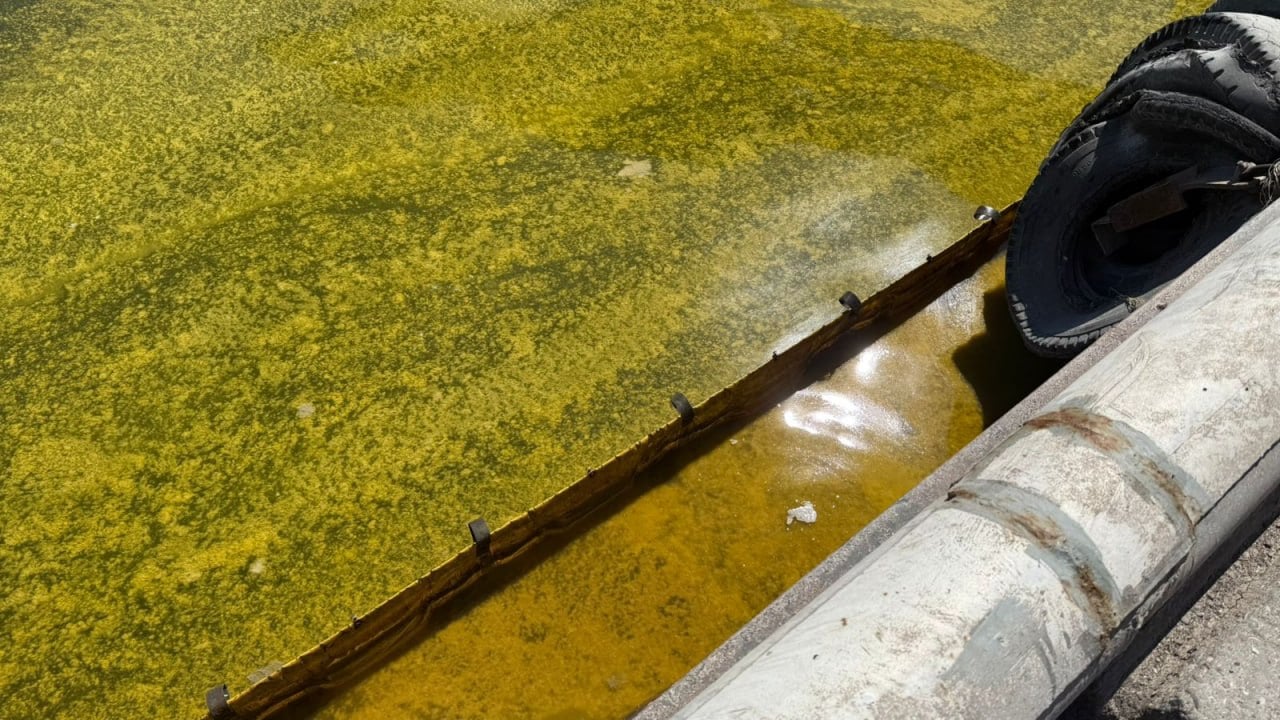 Фото: Державна екологічна інспекція Південно-Західного округу