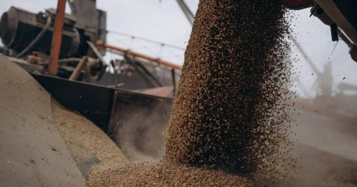 Израильский импортер отказался принимать партию краденого украинского зерна. Фото: 