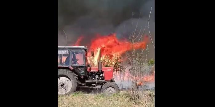 В Черниговской области вспыхнул масштабный лесной пожар, фото: Вячеслав Чаус