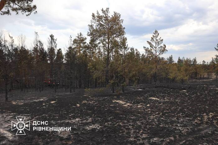 Наслідки лісової пожежі на Рівненщині, фото: ДСНС