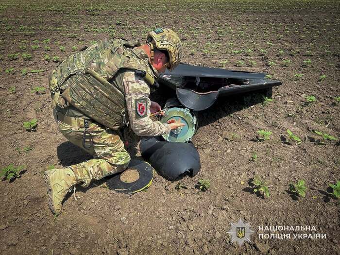 Знешкодження ворожого безпілотника, фото: Нацполіція