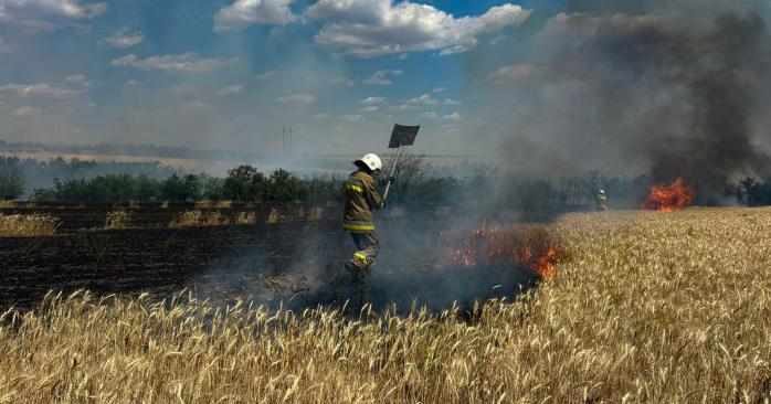 В Украине за прошедшие сутки в экосистемах возникло 220 пожаров. Фото: ГСЧС