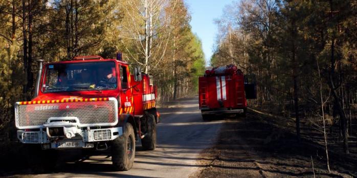 В Чернобыльской зоне локализовали все пожары, фото: Чернобыльский Радиационно-экологический Биосферный Заповедник