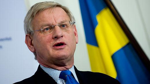 Швеція прогнозує падіння влади Януковича (ФОТО)