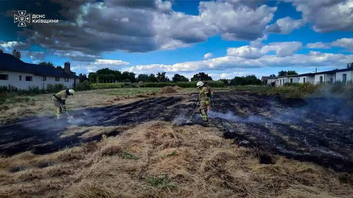 Наслідки пожежі в екосистемі на Київщині, фото: ДСНС