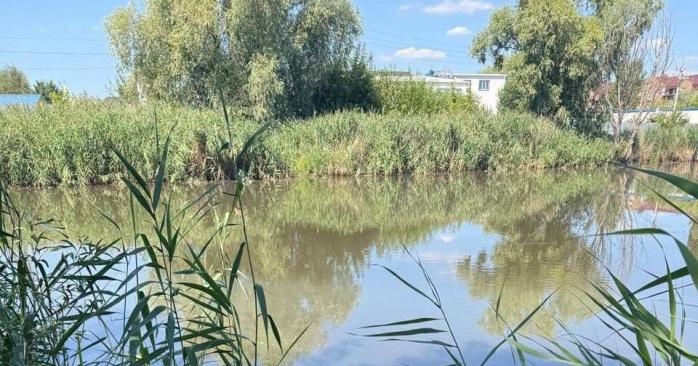 Массовый мор рыбы зафиксировали на трех водоемах под Киевом. Фото: