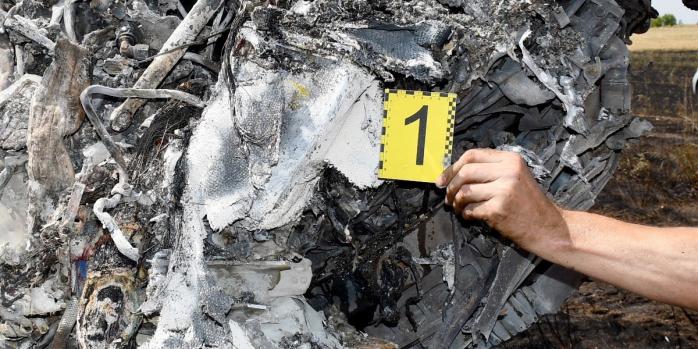 МіГ-29 упав на Одещині 10 вересня, фото: ДБР