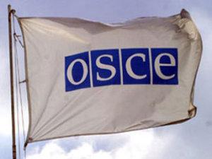 ОБСЕ направит на президентские выборы в Украине 1 тыс. наблюдателей