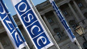 РФ причастна к захвату представителей ОБСЕ в Славянске — СБУ
