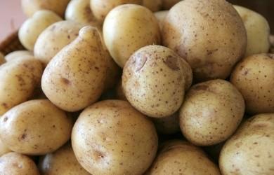 Россия запретила ввоз украинского картофеля