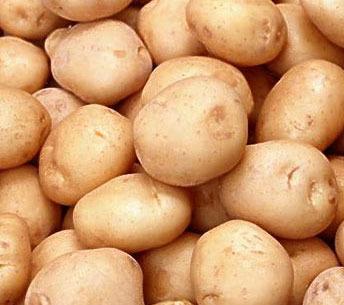 Россия запретила импорт картофеля из Украины с 16 июня