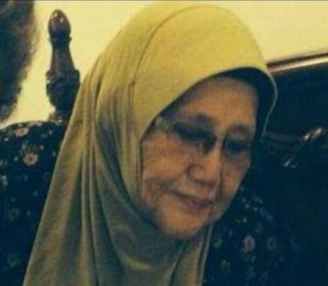 В катастрофе самолета Malaysia Airlines погибла приемная бабушка премьера Малайзии