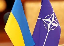 ЦВК прийняла документи з вимогою провести референдум щодо НАТО
