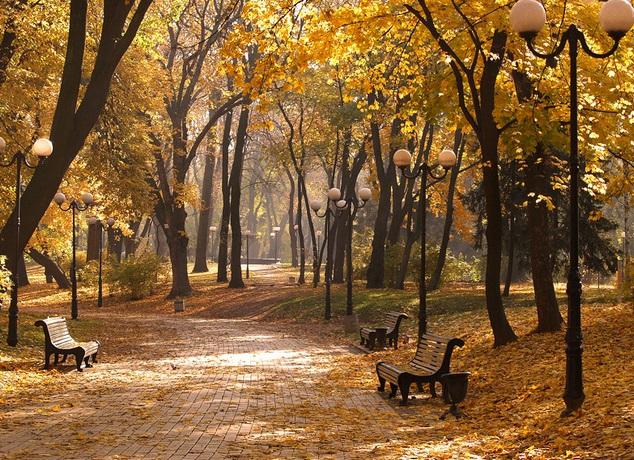 До середини жовтня в Україні прогнозують стабільну погоду