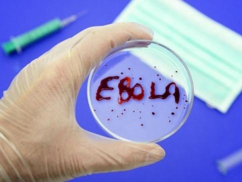 Кількість померлих від лихоманки Ебола зросла до 4,8 тис. осіб