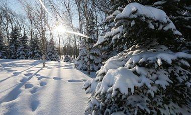 Гидрометцентр обещает завтра морозную погоду и снег на западе и юге Украины