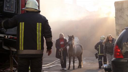 В центре Риги горело старинное здание цирка, погиб питон (ФОТО)