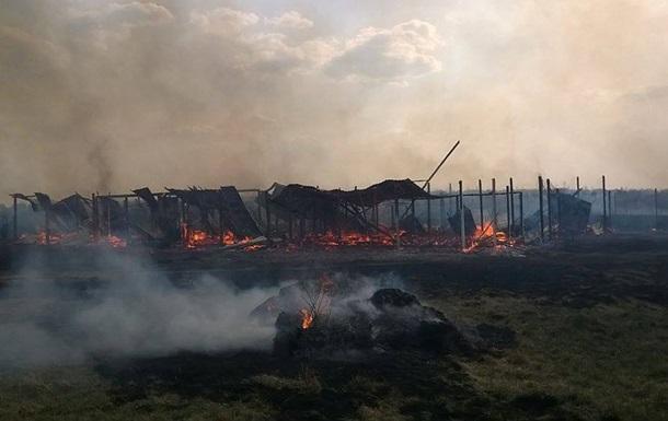 К пожару в приюте для животных на Киевщине привело возгорание травы — МВД