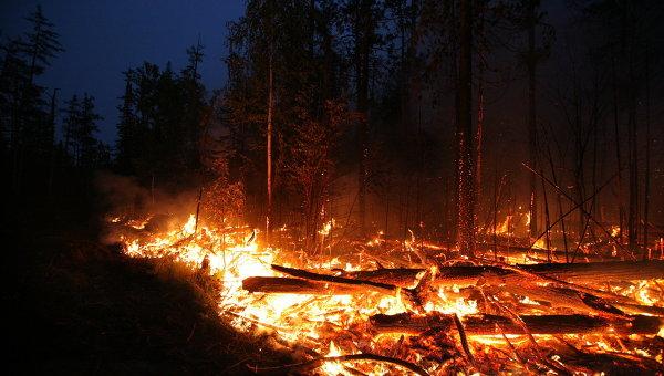 У Сибіру збільшується площа лісових пожеж