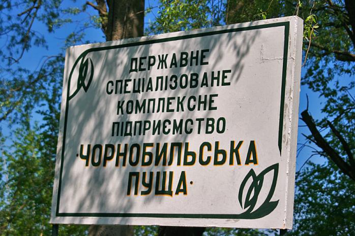 На Київщині горить спецкомбінат «Чорнобильська пуща»