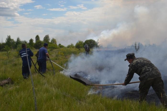 У Чорнобильській зоні триває локалізація пожежі (ВІДЕО)