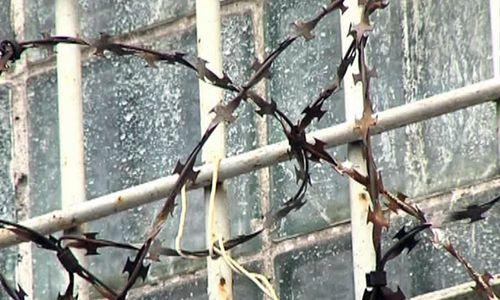 Милиция задержала двух сбежавших из изолятора в Красном Лимане