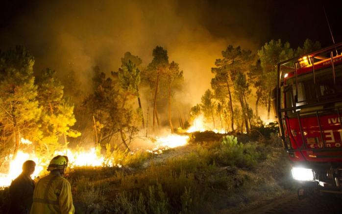 Більше 1400 жителів Іспанії евакуювали через лісові пожежі