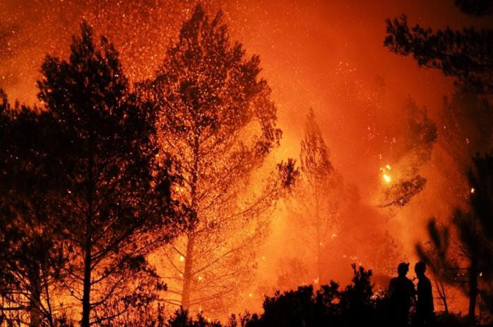 В Іспанії через сильні пожежі у лісах евакуювали понад 2,4 тис. осіб