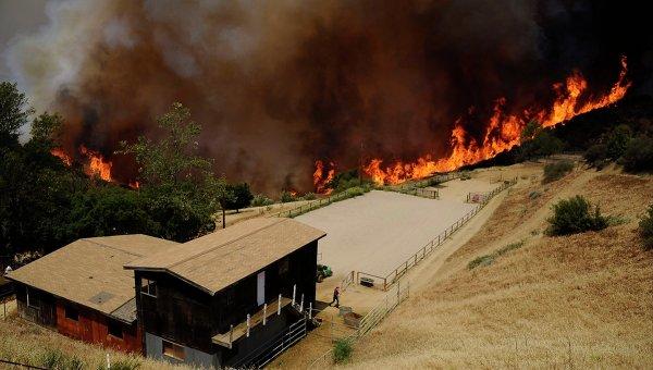 Через лісові пожежі в США понад 13 тис. людей залишили свої будинки