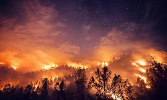 В Калифорнии лесные пожары уничтожили свыше тысячи домов