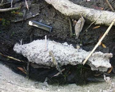 На Виннитчине обнаружили 82-миллиметровую мину времен Второй мировой