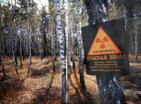 Яценюк предлагает уволить главу Чернобыльской зоны