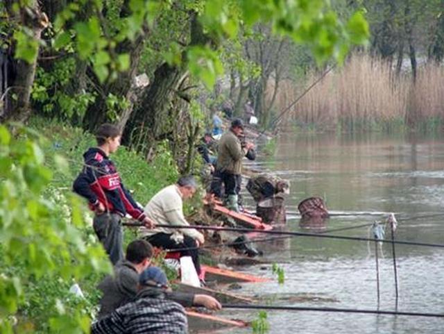Держрибагентство ініціює введення плати за любительську риболовлю