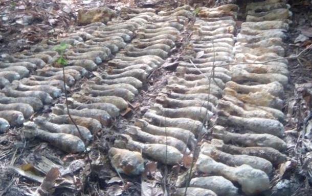 У київському лісі знайшли понад 700 снарядів і мін
