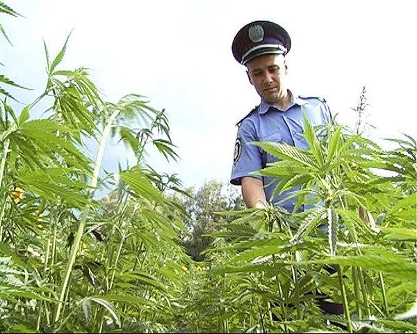 Аваков представил новый департамент по борьбе с наркопреступностью