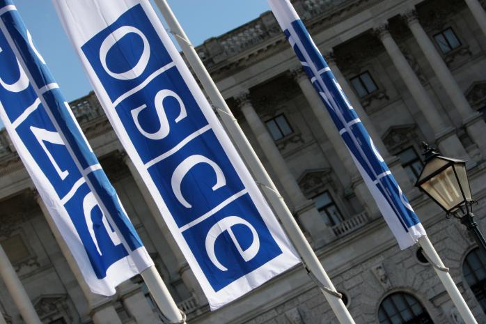 ОБСЕ в течение двух месяцев подготовит рекомендации для улучшения избирательной системы в Украине