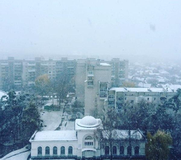На Житомирщине и Киевщине выпал первый снег (ФОТО)
