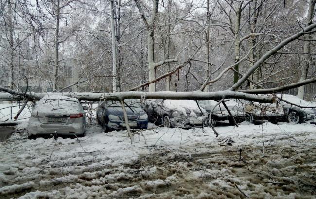 У Харкові через снігопад повалені понад 500 дерев, пошкоджено ЛЕП