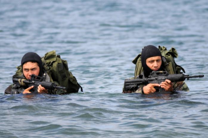 В Сирии находятся береговые войска Черноморского флота из Симферополя — разведка