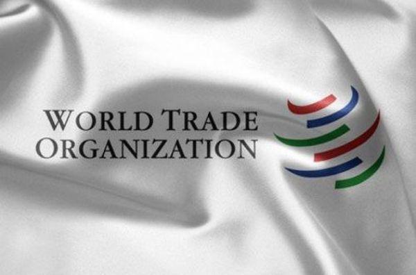 Представители Украины прибыли на конференцию ВТО в Найроби